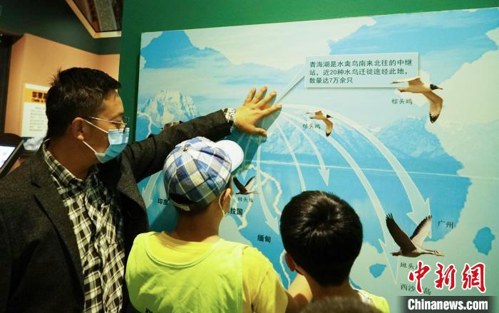 圖為小朋友在青海西寧湟水國(guó)家濕地公園科普館內(nèi)參觀學(xué)習(xí)。　馬銘言 攝