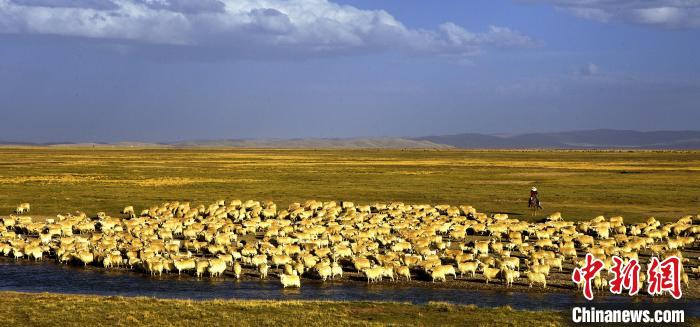 青?，敹唷鞍渍渲椤弊尠傩斟X袋鼓起來