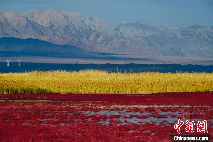 圖為柴達木盆地可魯克湖?！」?攝