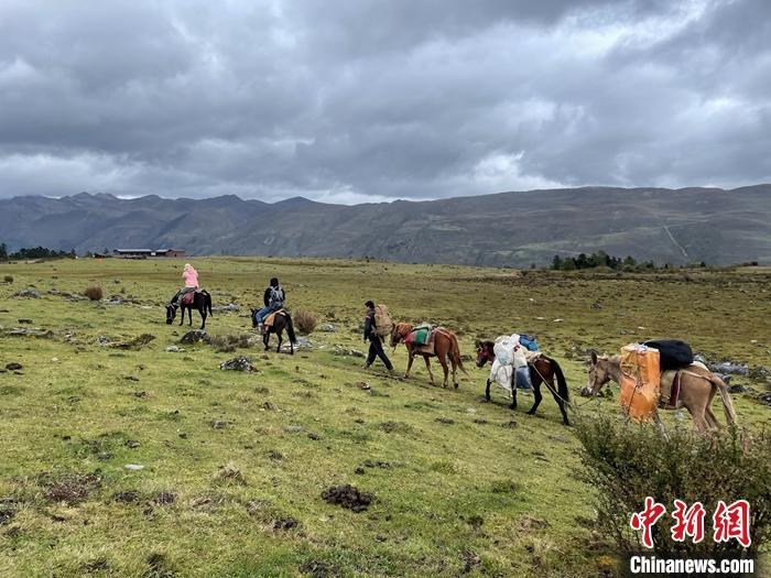 圖為9月26日游客騎馬領(lǐng)略尼汝村高原牧場風(fēng)光。 <a target='_blank' href='/'><p  align=