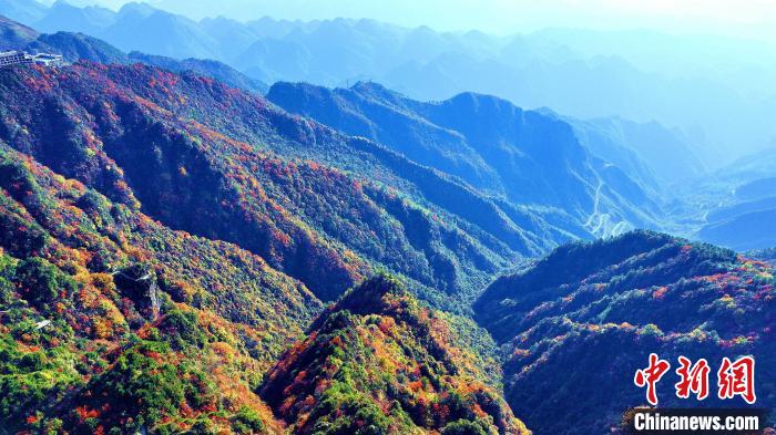 巴山大峽谷彩林迎來最佳觀賞期?！埰?攝