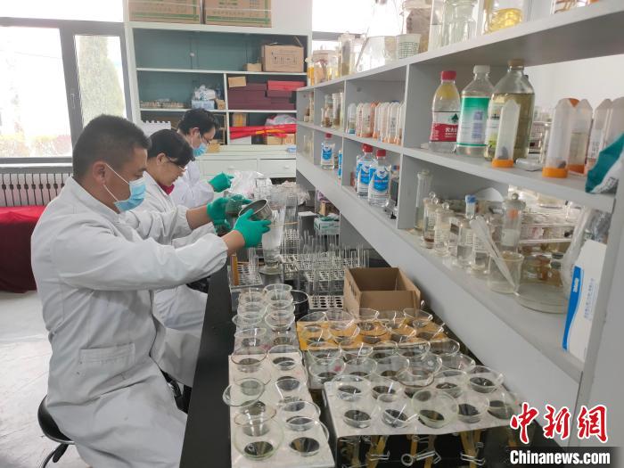 資料圖為研究團(tuán)隊(duì)進(jìn)行樣本檢查?！?青海省畜牧獸醫(yī)科學(xué)院供圖