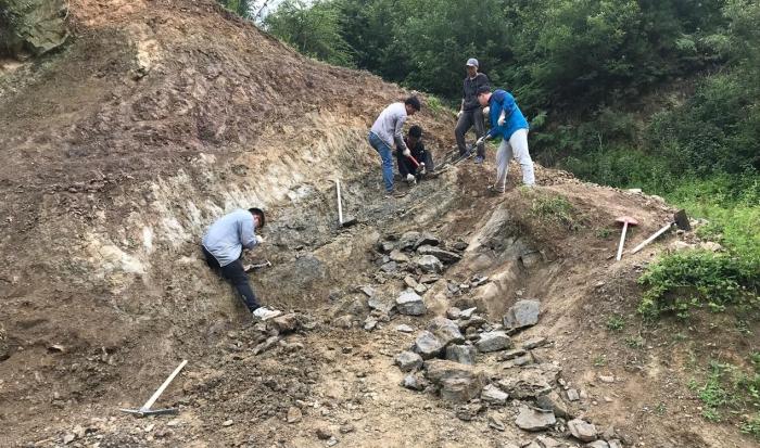 2018年玉海翼角魚野外發(fā)掘采集現(xiàn)場?！∩w志琨 攝