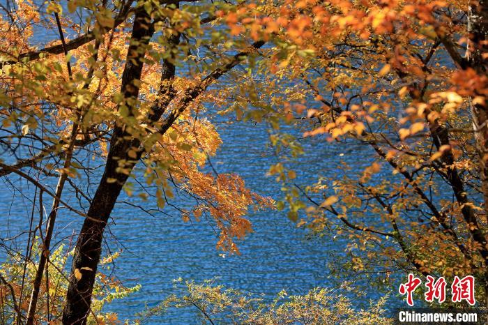 松坪溝風(fēng)光?！⑼?攝