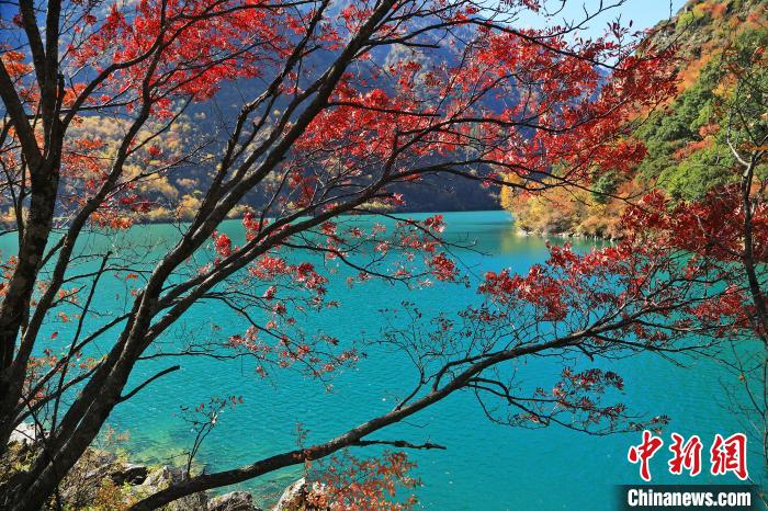 松坪溝風(fēng)光?！『吻搴?攝