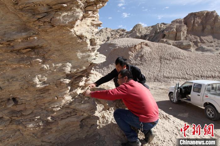 圖為地質(zhì)專家觀察鹽類沉積地層。(資料圖) 柴綜院 供圖