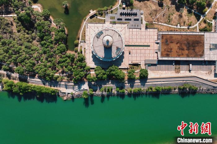 航拍青海貴德黃河岸畔綠意濃濃。　趙凜松 攝