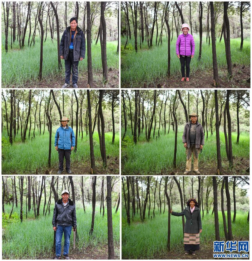 (新華全媒頭條·圖文互動)(7)莊重的承諾 歷史的奇跡——西藏自治區(qū)決戰(zhàn)脫貧攻堅紀(jì)實