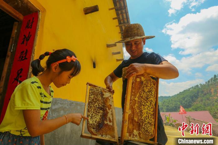 “甜蜜產(chǎn)業(yè)”讓全村致富有奔頭。洲湖鎮(zhèn)供圖