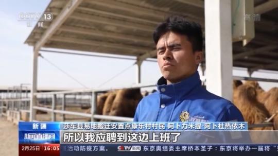 種蘑菇、養(yǎng)駱駝...。。特色產(chǎn)業(yè)助力鄉(xiāng)村振興走新路