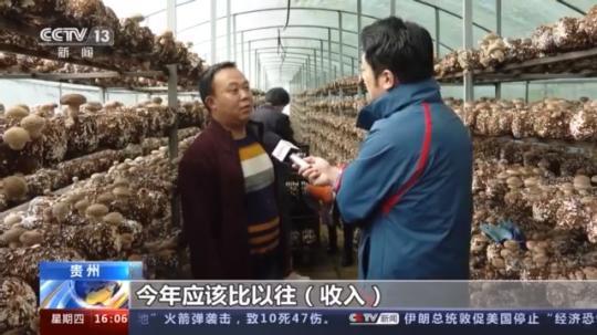 種蘑菇、養(yǎng)駱駝...。。特色產(chǎn)業(yè)助力鄉(xiāng)村振興走新路