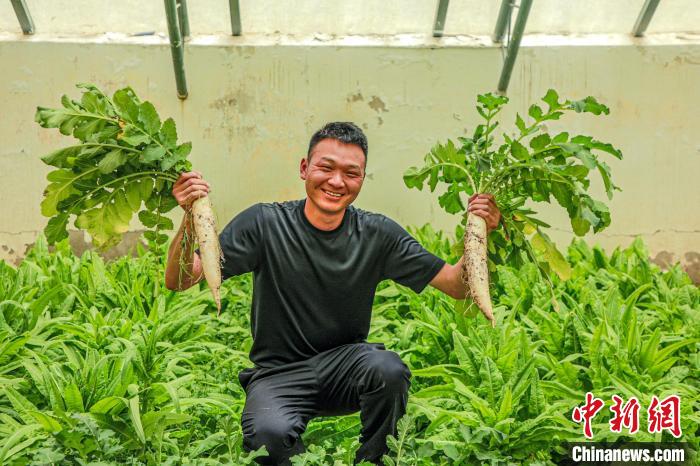 西藏阿里門(mén)士邊境派出所民警兼職大棚種植、豐富牧民餐桌