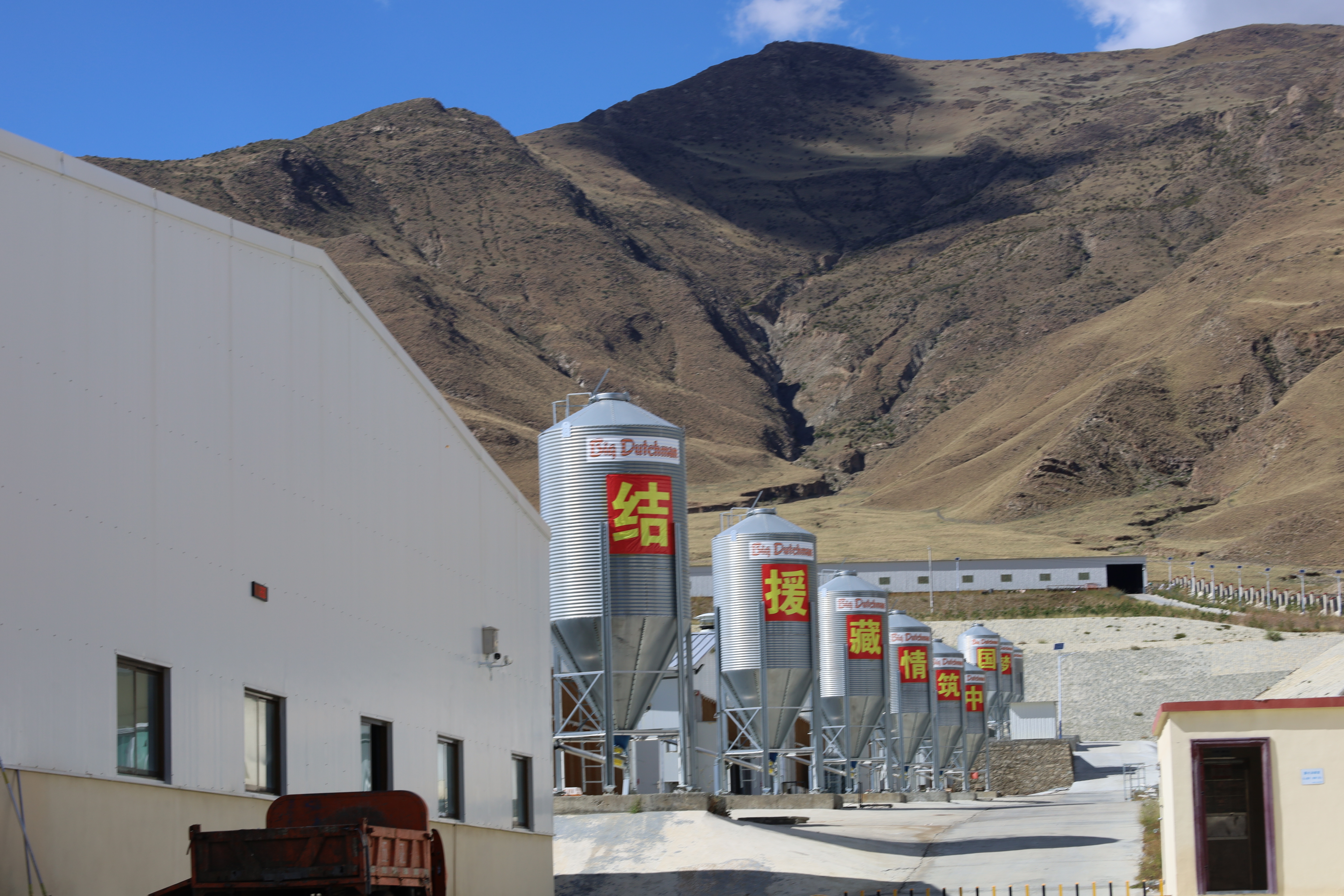 IMG_8769.jpg IMG_8769.jpg