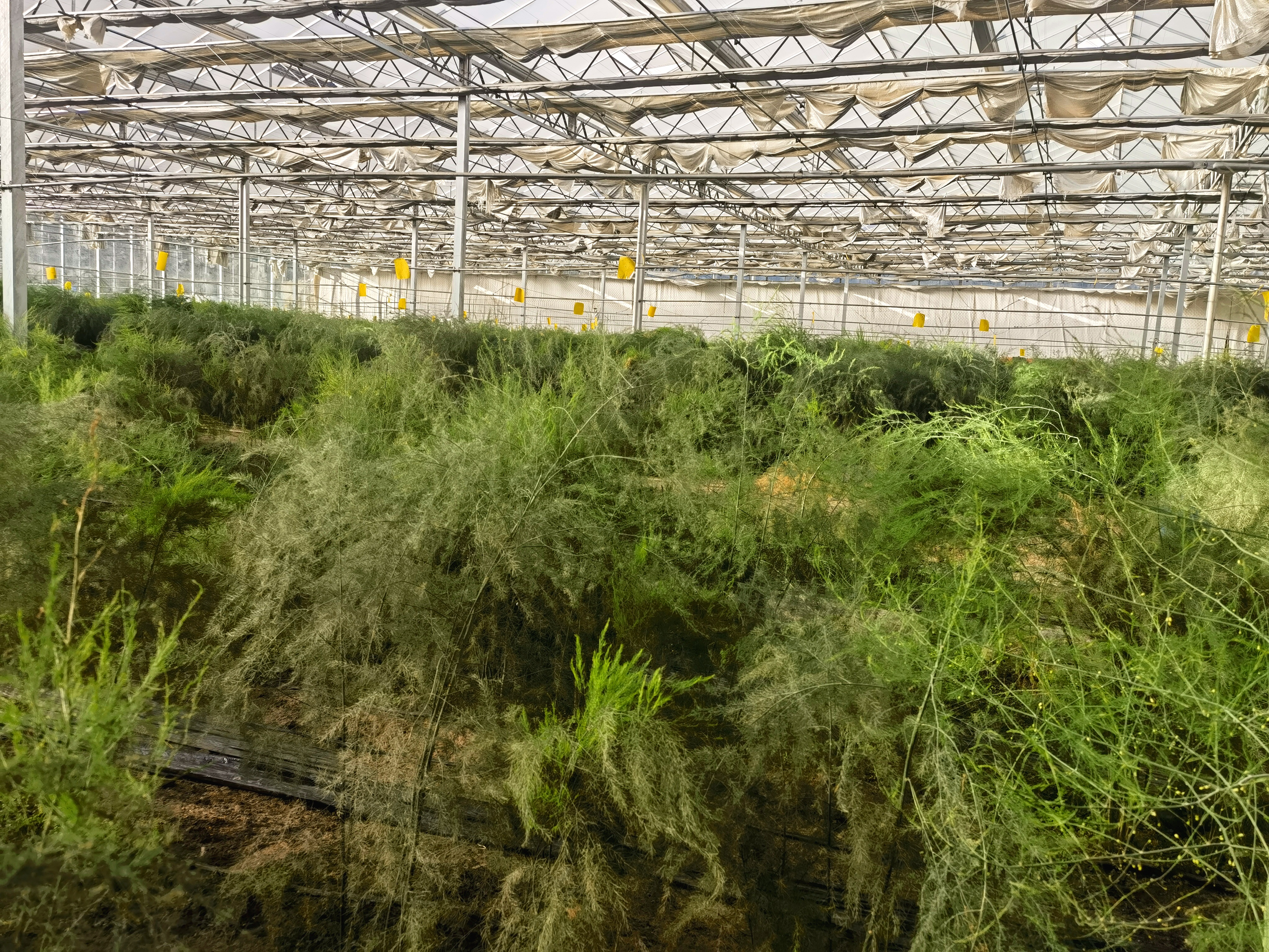 a9e6f78538853f8c9d99bc473df8321.jpg a9e6f78538853f8c9d99bc473df8321.jpg