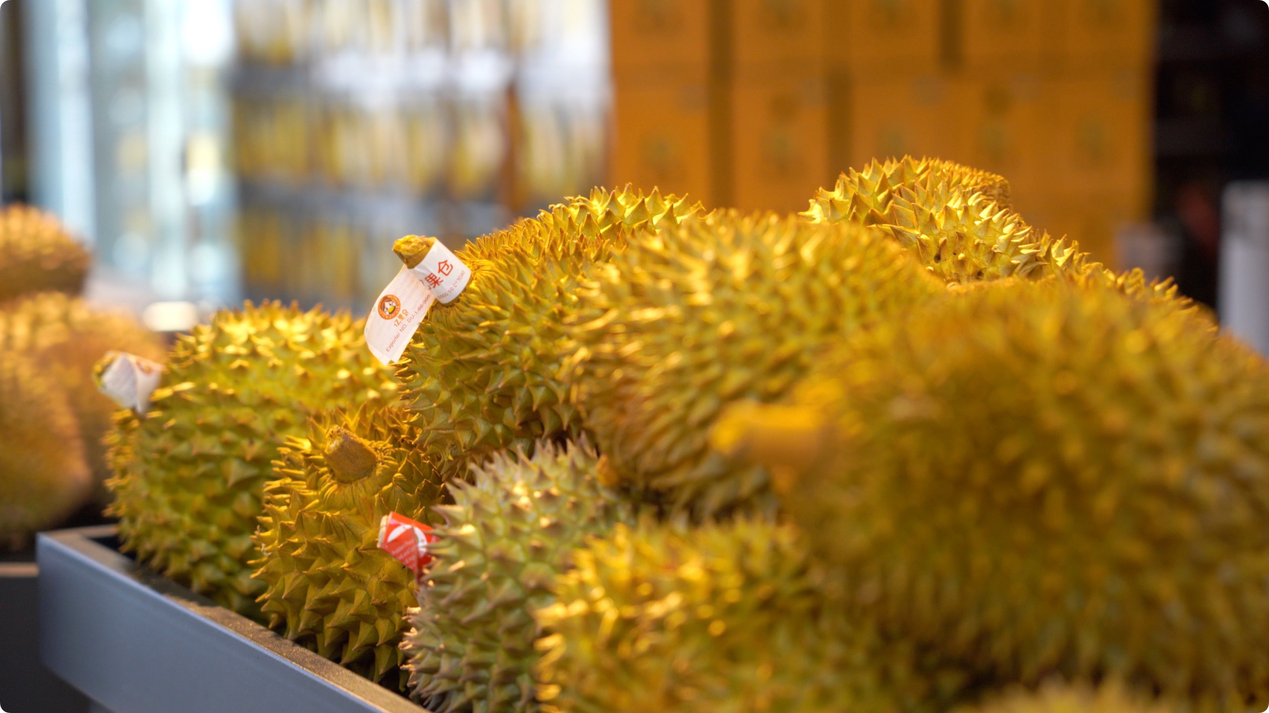 5月初，人民網(wǎng)記者申佳平攝