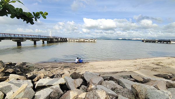 深圳紅樹林灘涂，留給了孩子們親近自然的空間。人民網(wǎng)記者 李彤攝