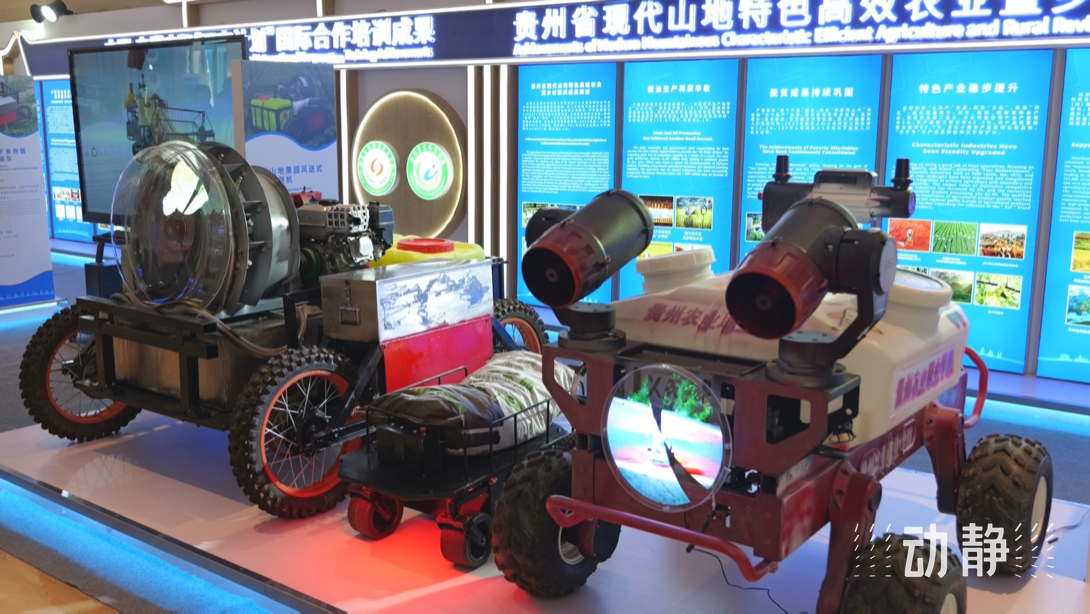 展示成果分享經(jīng)驗(yàn)，中國(guó)—東盟教育交流周深化合作共創(chuàng)未來(lái)！