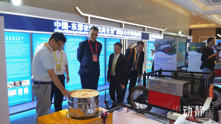 展示成果分享經(jīng)驗(yàn)，中國(guó)—東盟教育交流周深化合作共創(chuàng)未來(lái)！