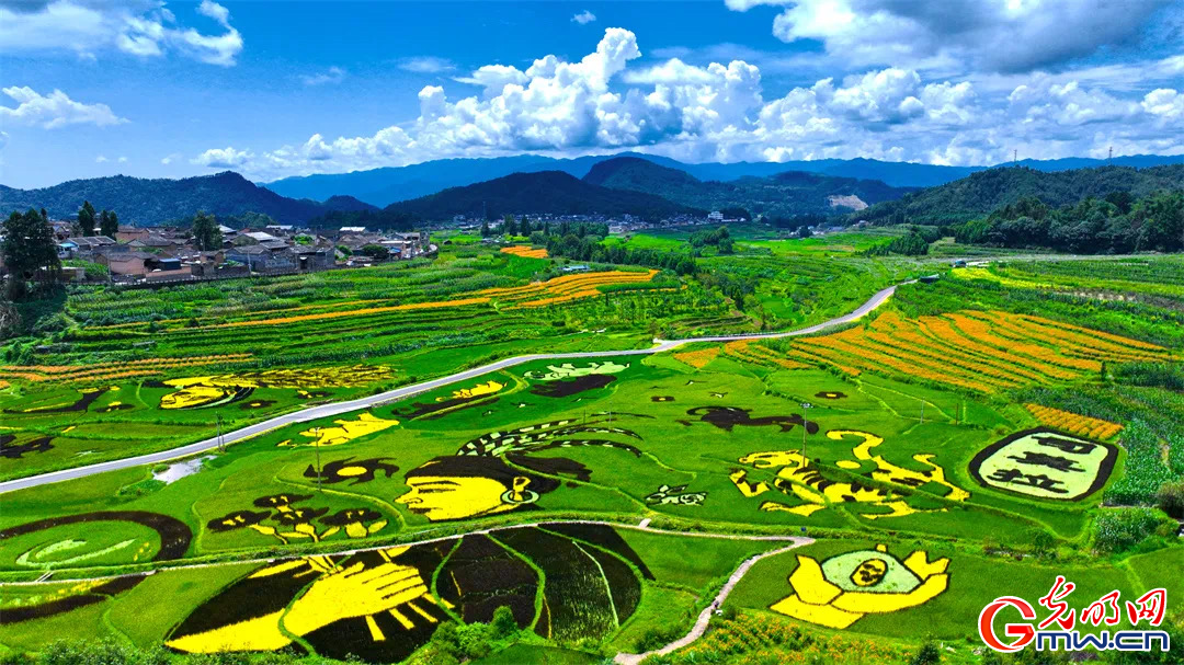 云南清水：延伸公共法律服務(wù)觸角，讓普法與民族團(tuán)結(jié)進(jìn)步互促共融