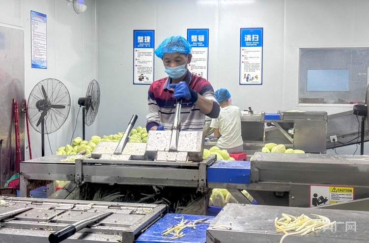 高質(zhì)量發(fā)展看中國(guó) | 廣西:三產(chǎn)融合“潤(rùn)澤”鄉(xiāng)村沃土 讓農(nóng)民腰包越來(lái)越鼓