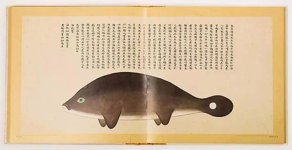 文化中國(guó)行 長(zhǎng)江之歌丨微笑的江豚，從四千年前“游”來(lái)