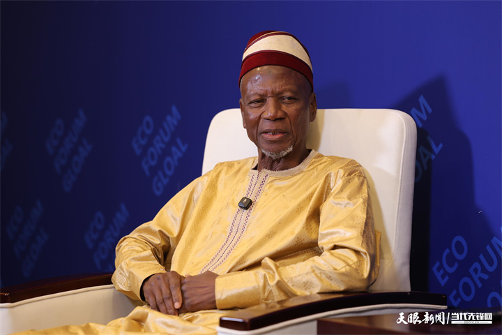 幾內(nèi)亞全國(guó)過(guò)渡委員會(huì)第二副主席 塞尼·法西內(nèi)·西拉.jpg