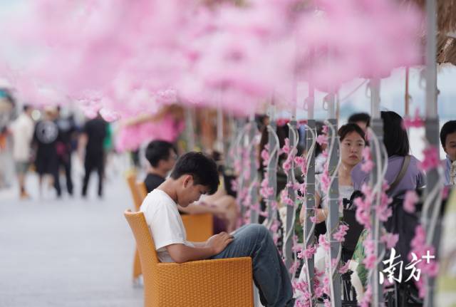 崖口村東堤靠近海岸，成為了熱門打卡休閑地點。