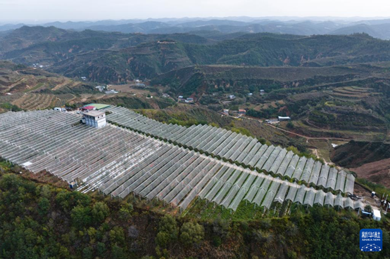 【高質(zhì)量發(fā)展看陜西】“上天”的延安蘋果，蘊(yùn)藏哪些新質(zhì)生產(chǎn)力