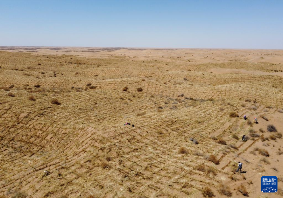 2024年4月10日，群眾在古浪縣八步沙林場麻黃塘沙區(qū)用草方格壓沙。新華社發(fā)（無人機(jī)照片）