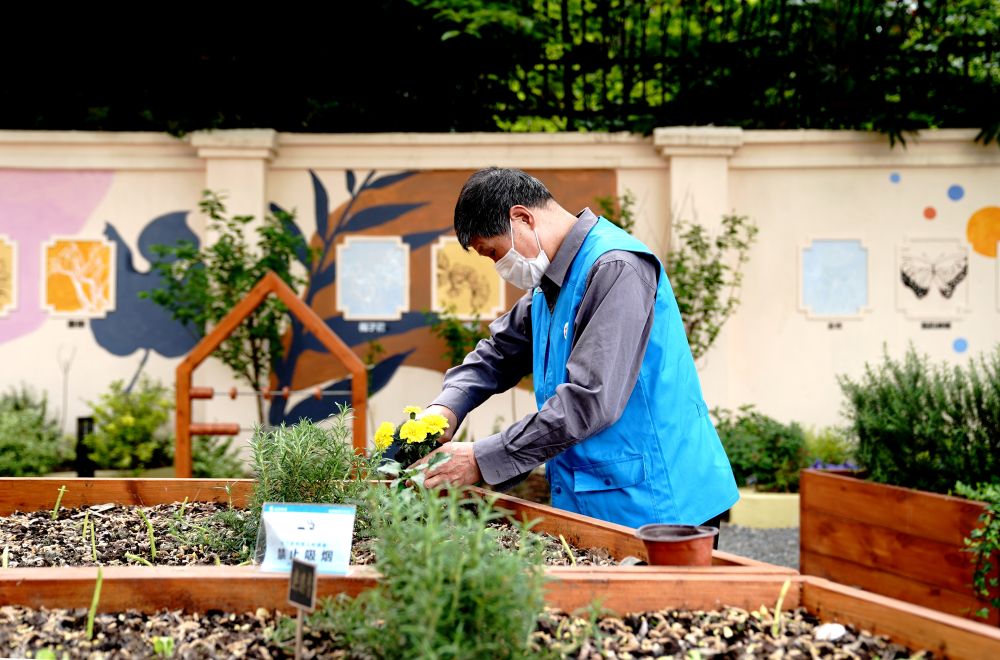 上海市長寧區(qū)虹旭小區(qū)居民在整理改造社區(qū)花園。居民們把堆肥箱里發(fā)酵出來的“綠色材料”和土壤拌在一起鋪在種植箱中（2020年4月22日攝）。新華社記者 張建松 攝