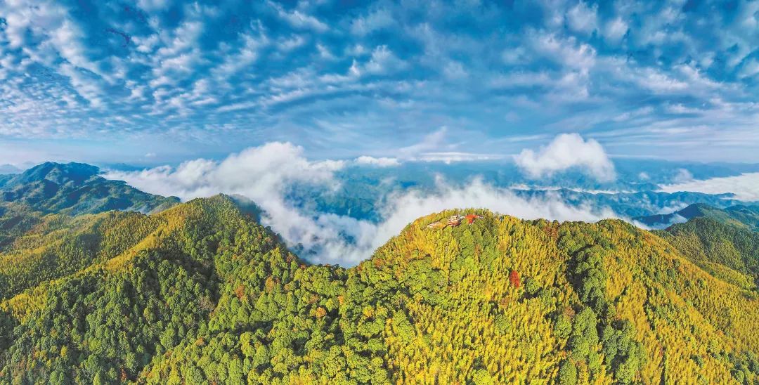 　三明森林生態(tài)環(huán)境優(yōu)美。