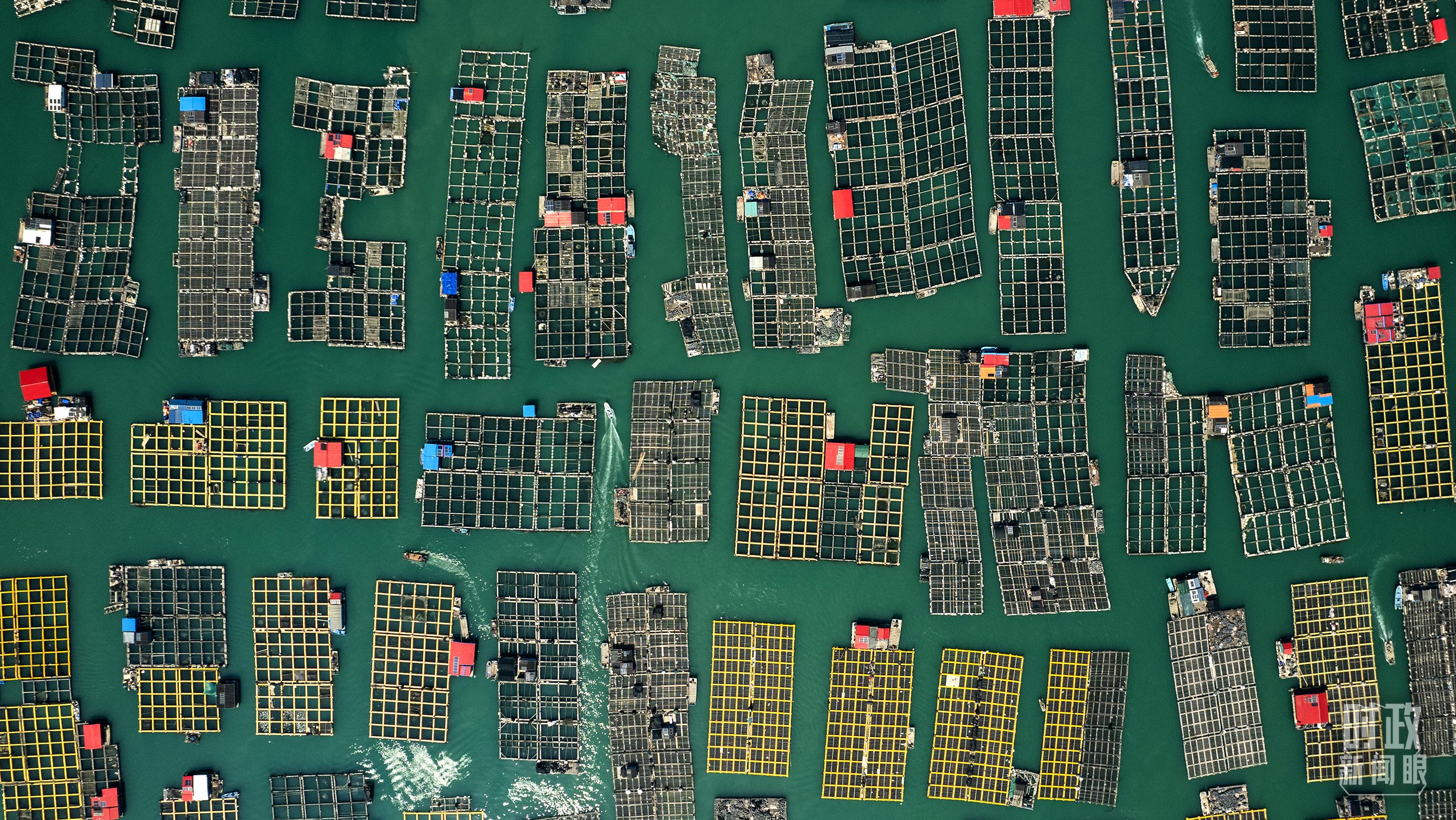 △澳角村。（總臺記者李晉拍攝）