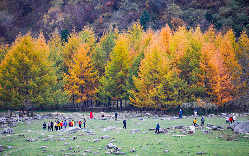 2023年10月27日，深秋時節(jié)的陜西秦嶺太子嶺漫山紅黃、色彩交織，進入最佳觀賞期。