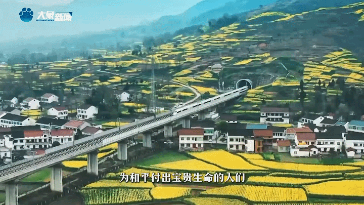 家國(guó)永念 | 看，山河已無(wú)恙