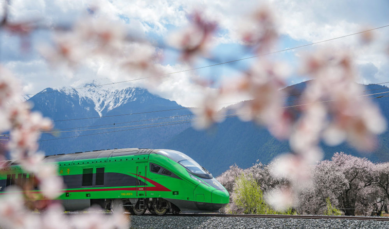 2025年4月2日，復(fù)興號(hào)列車穿行在拉林鐵路林芝段。