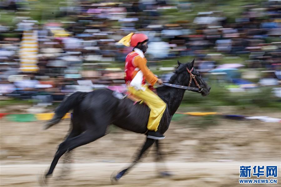 (體育)(3)西藏曲水:山村賽馬