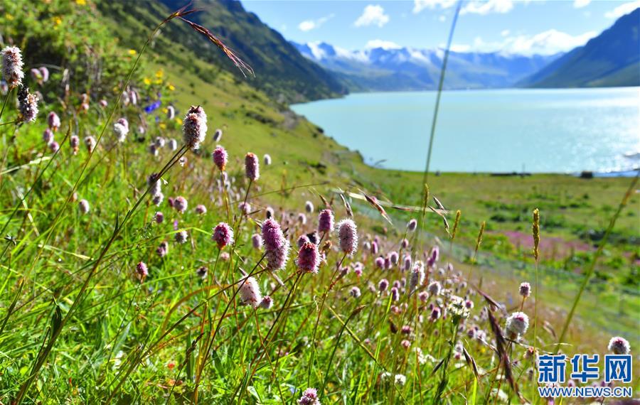 (新華視界)(3)嘉乃玉錯(cuò)的悠閑時(shí)光