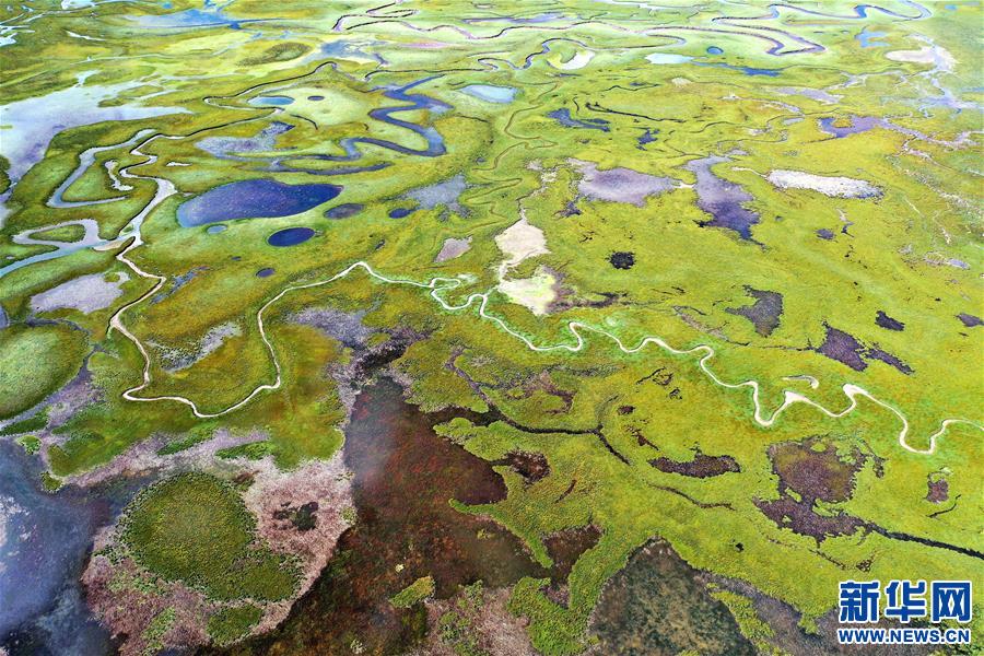 (新華視界)(4)鳥瞰拉妥濕地