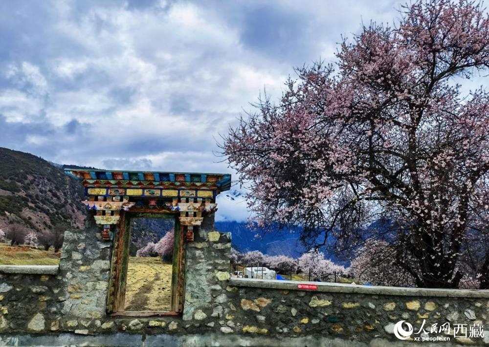 桃花下的藏式民居。人民網(wǎng) 李海霞攝