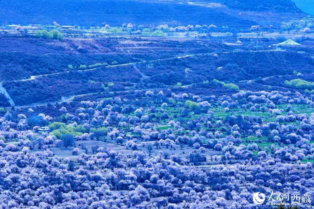 遠(yuǎn)眺“桃花村”。人民網(wǎng) 李海霞攝