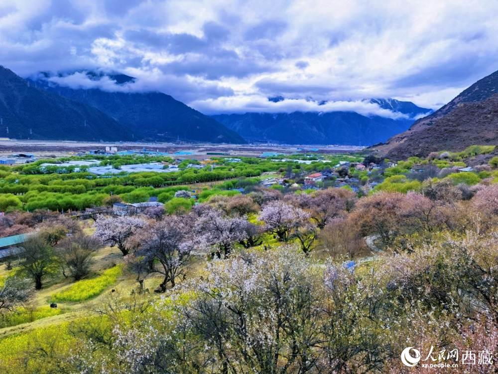 桃花從中的“童話小鎮(zhèn)”。人民網(wǎng) 李海霞攝