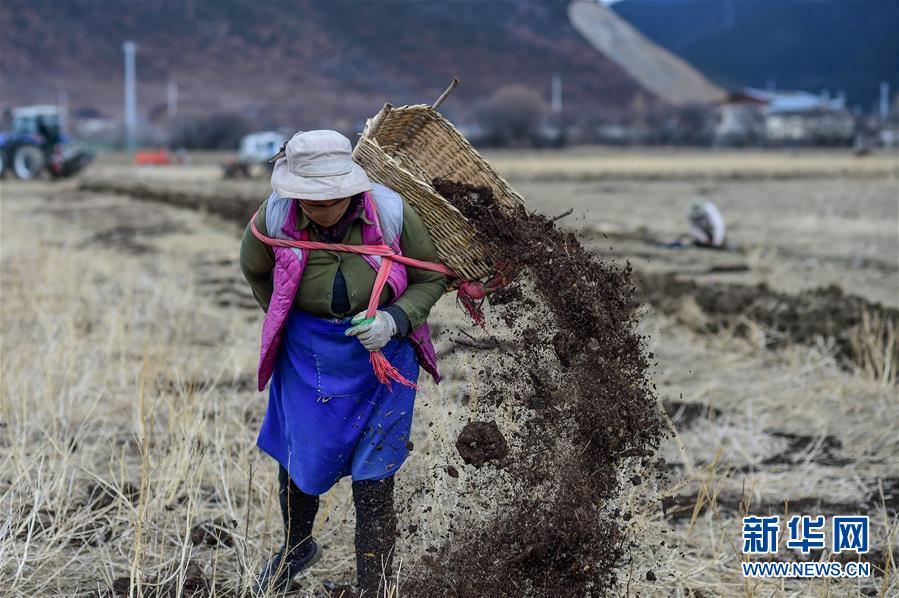 (經(jīng)濟)(1)高原春耕忙