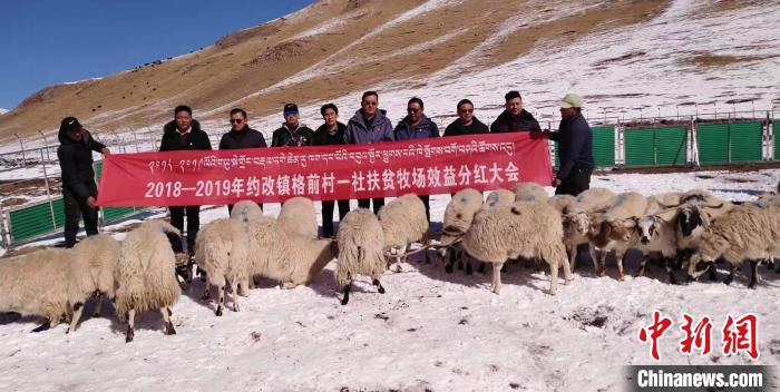 “黃河源頭第一縣”青海曲麻萊:貧困發(fā)生率由36.04%到絕對(duì)貧困“清零”