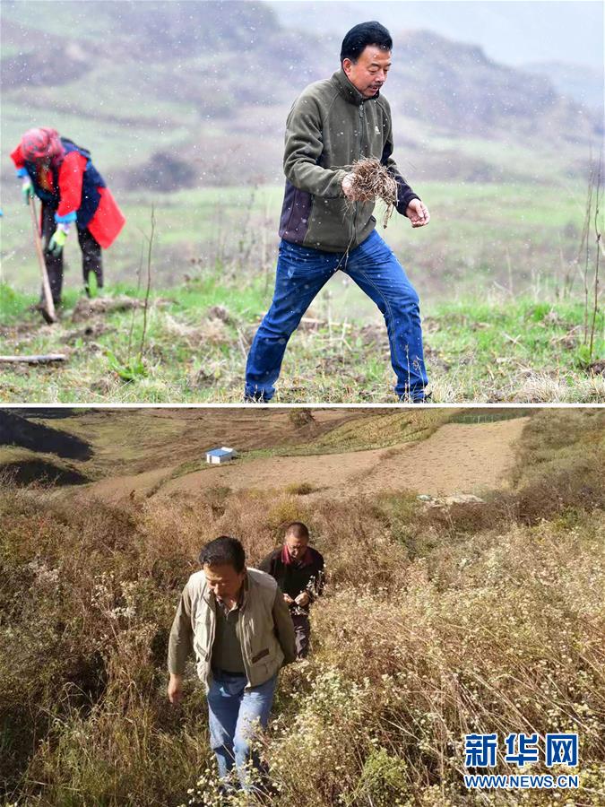 (脫貧攻堅(jiān)·圖片故事)(6)扶貧相冊——藏族村寨的脫貧“貼心人”