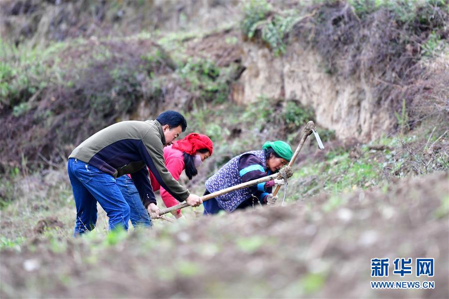 (脫貧攻堅(jiān)·圖片故事)(11)扶貧相冊——藏族村寨的脫貧“貼心人”