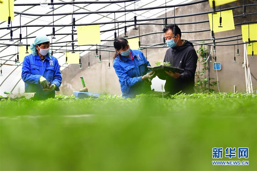 (脫貧攻堅(jiān)·圖片故事)(14)扶貧相冊——藏族村寨的脫貧“貼心人”