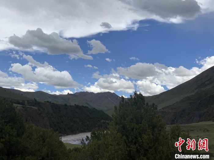 青海省三江源國家公園分布植物種類創(chuàng)新高