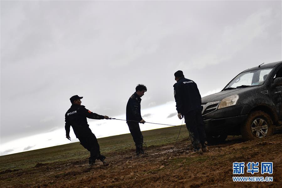 （圖文互動）（10）記者手記：可可西里，“挪”向“藏羚羊大產(chǎn)房”的14個(gè)半小時(shí)