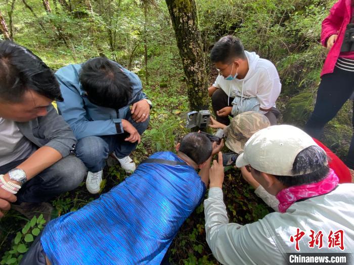 圖為訪客正在查看紅外相機(jī)中的拍攝畫面?！±罱瓕?攝