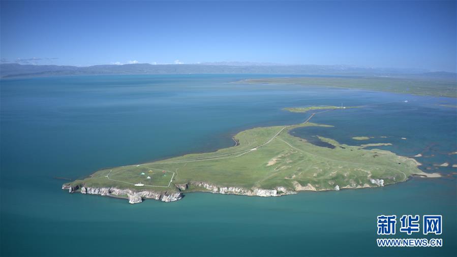 (新華全媒頭條·圖文互動)(6)大湖見證 ——持續(xù)保護讓青海湖生態(tài)華麗“蝶變”